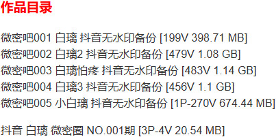 vmb241202x2